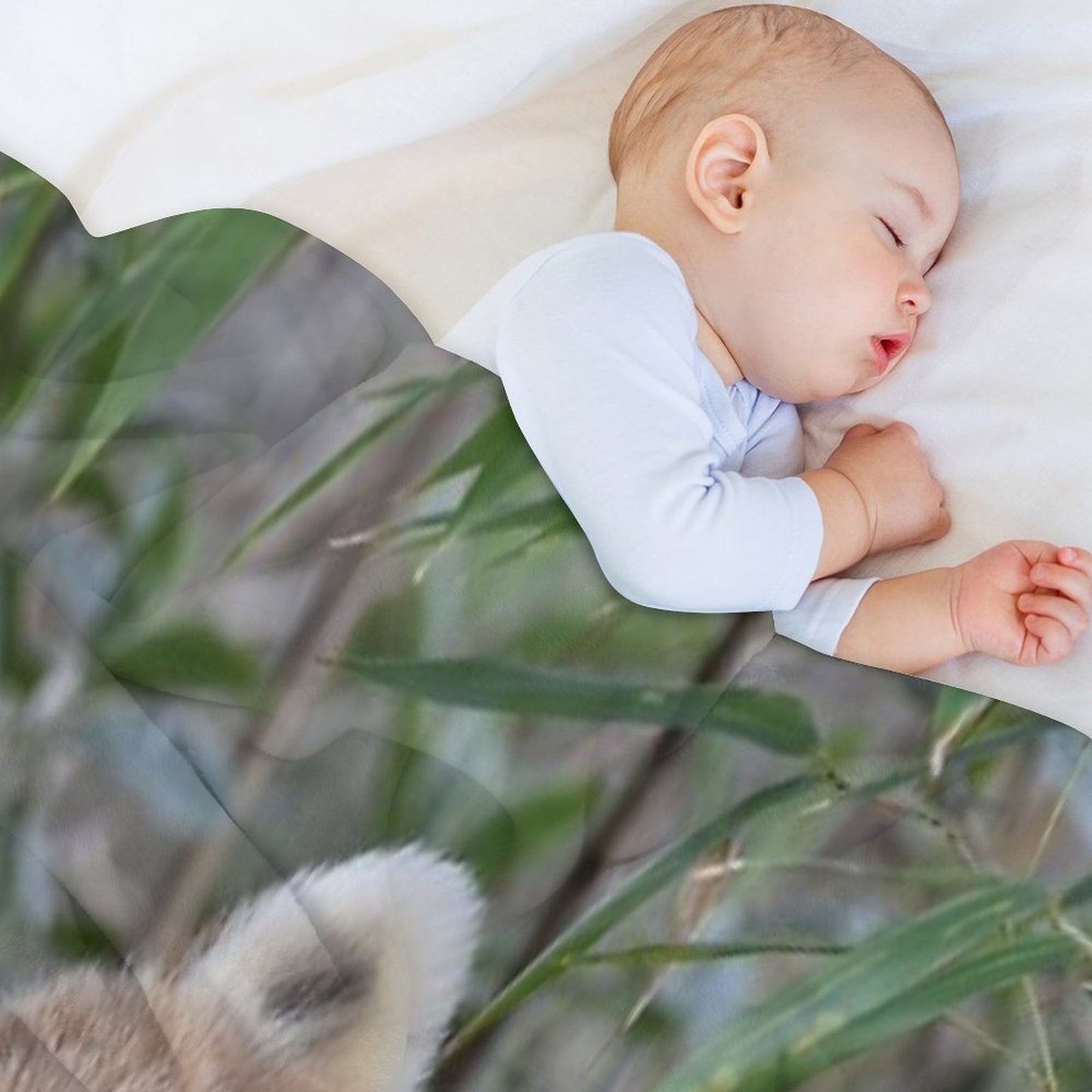 Red Panda 2 Machine-washable Throw Blanket