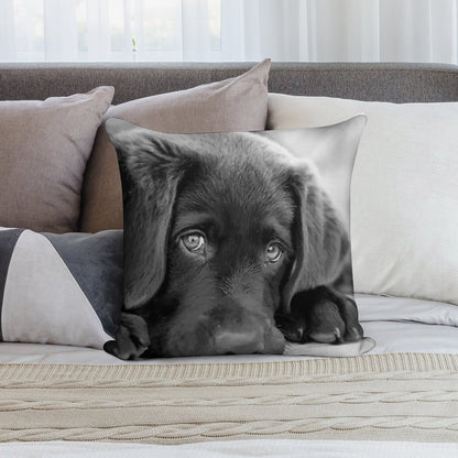 Black Lab Puppy - Chocolate Lab Puppy - Black & White Puppy Soft High-Density Material Throw Pillow
