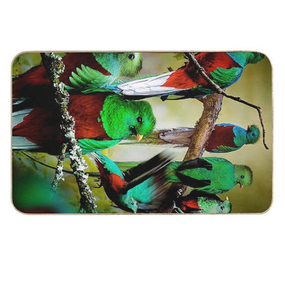 Quetzal  Eco-Friendly Bath Mat