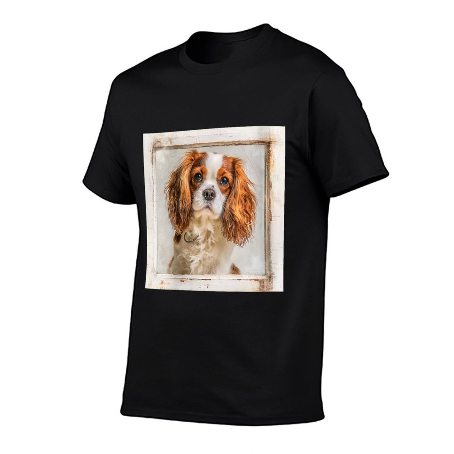 Womens Cavalier King Charles Spaniel Dogs  Heathered Texture T-Shirt