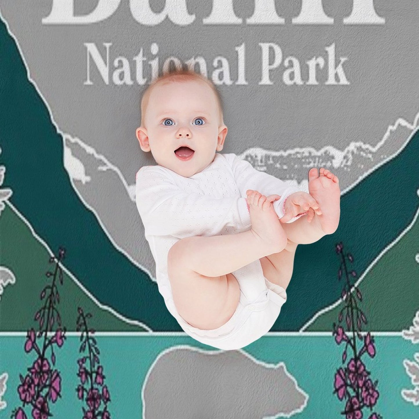 Banff National Park Premium Throw Blanket