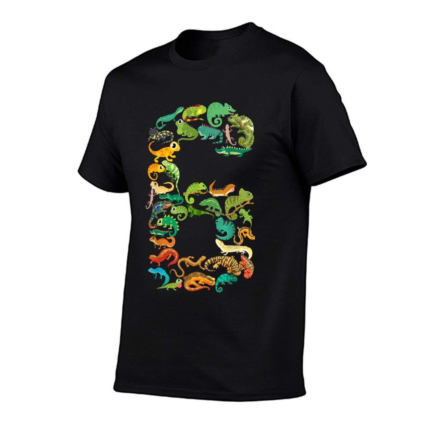 Kids 6th Birthday Reptiles Lizards Theme 6 Year Old Boys  Durable T-Shirt