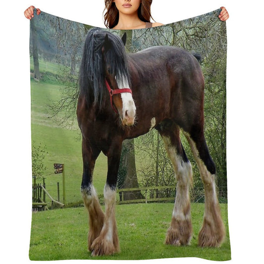 Shire Horse Premium Throw Blanket