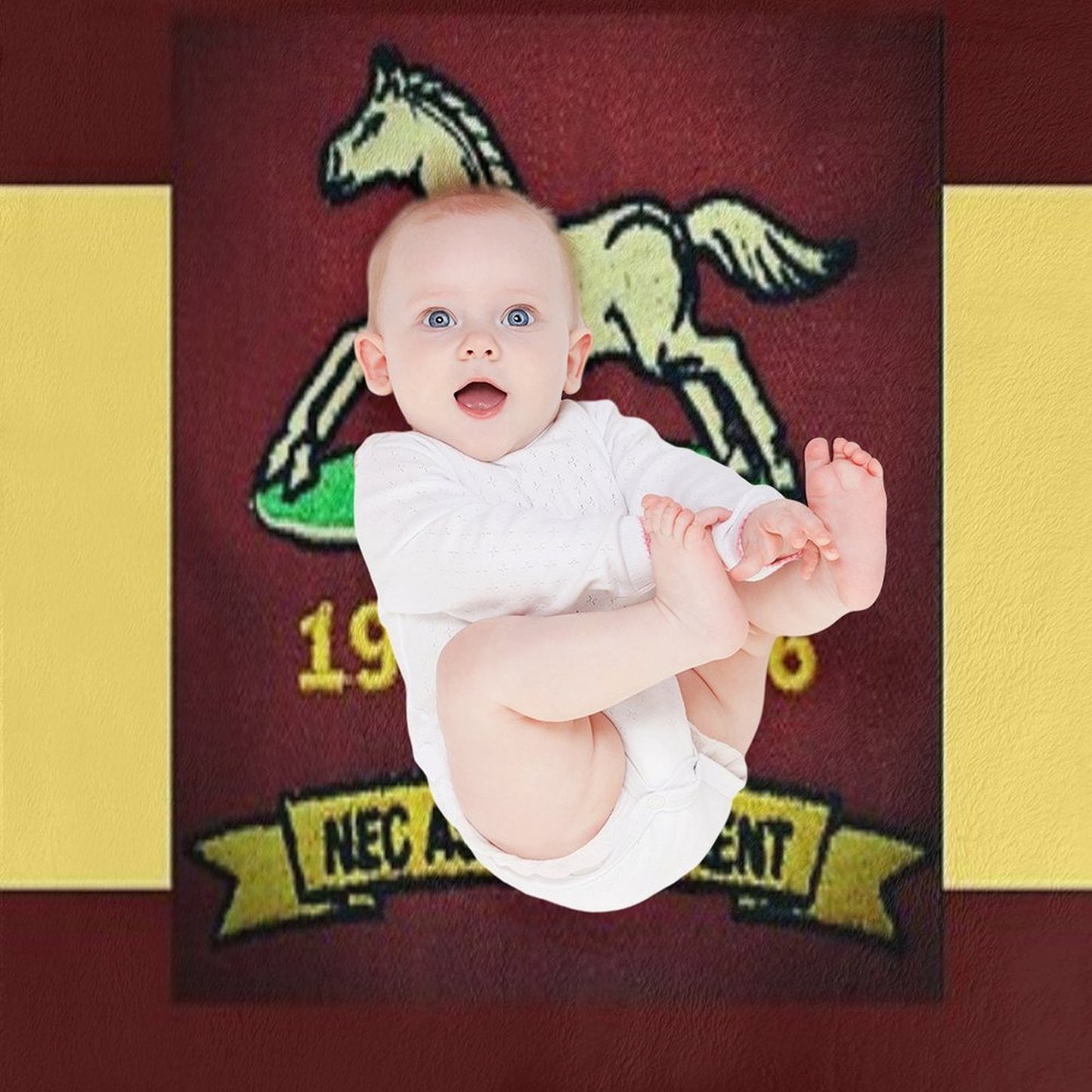Remembering The Prince Of Wales's Own Regiment Of Yorkshire Gift-ready Throw Blanket