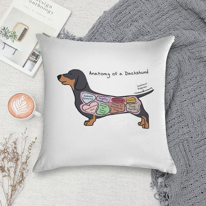 Anatomy of A Dachshund Soft Fade-Resistant Throw Pillow