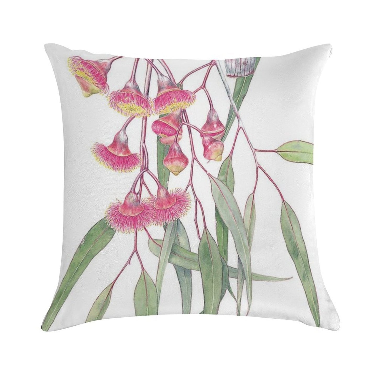 Eucalyptus Caesia Soft Style Accent Throw Pillow