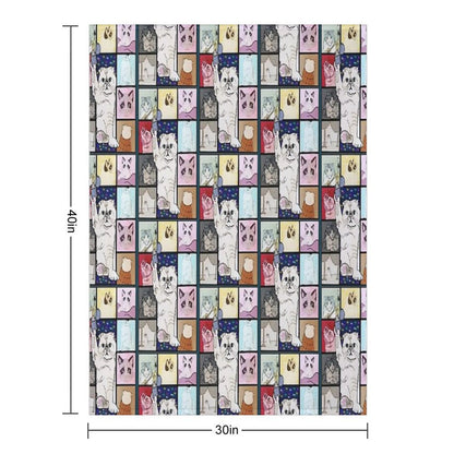 The Eras Tour Cat Version Plush Throw Blanket