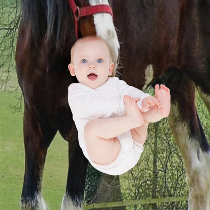 Shire Horse Premium Throw Blanket