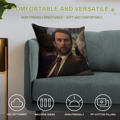 ASIP Soft Anti-Pilling Throw Pillow