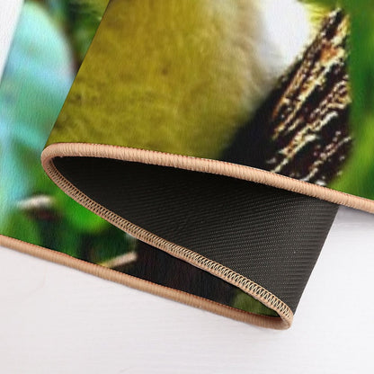 Koala Photo with High Resolution Quality  Dirt-Trapping Bath Mat