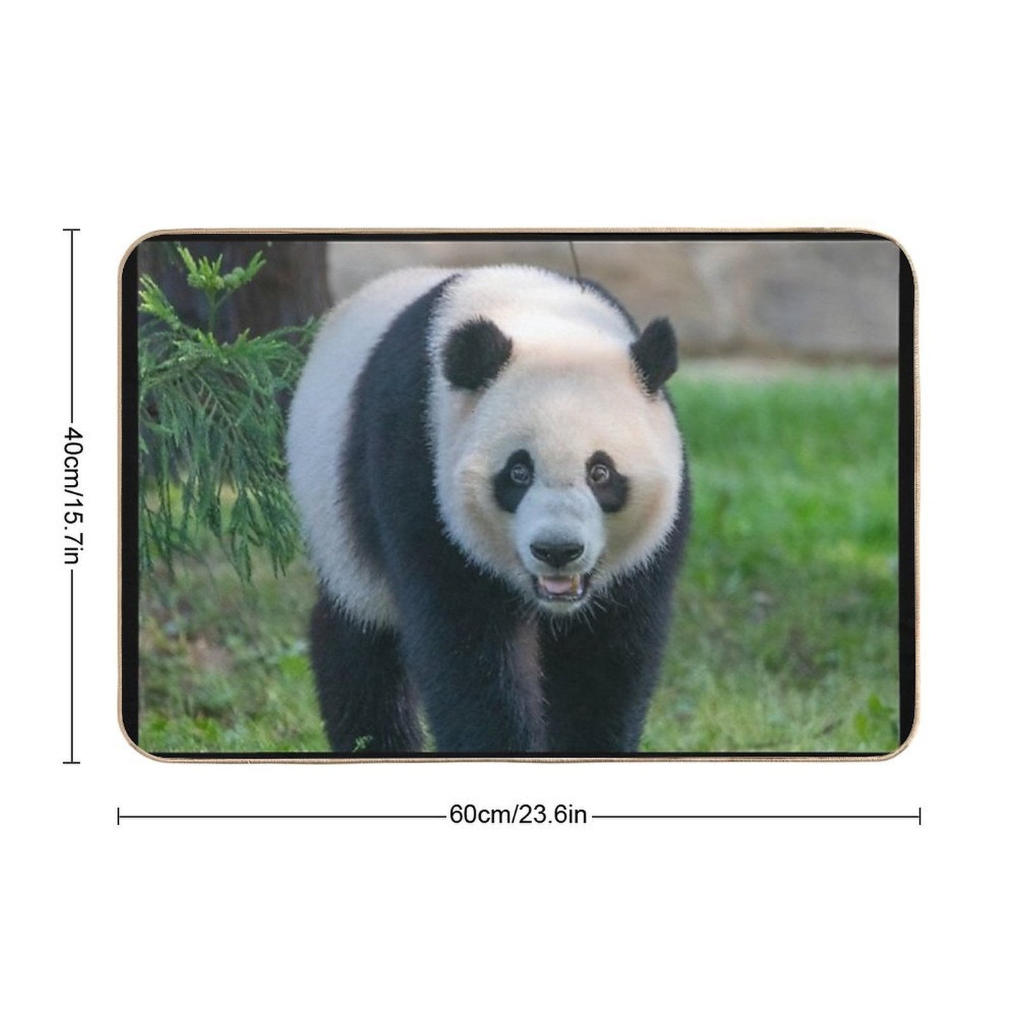 Giant Panda Xiao Qi Ji at The National Zoo  Slip-Resistant Bath Mat