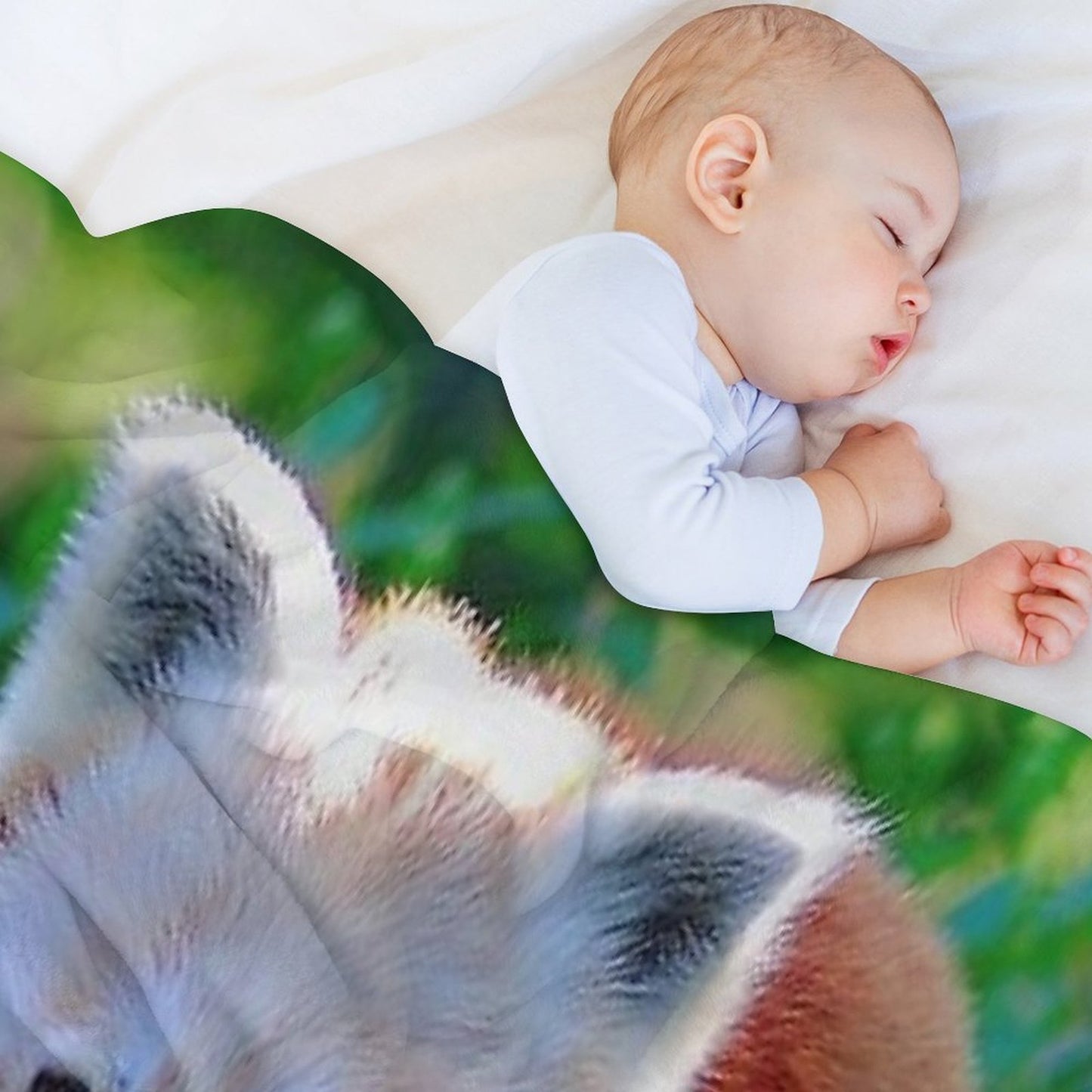 Cute Red Panda Sustainable Throw Blanket