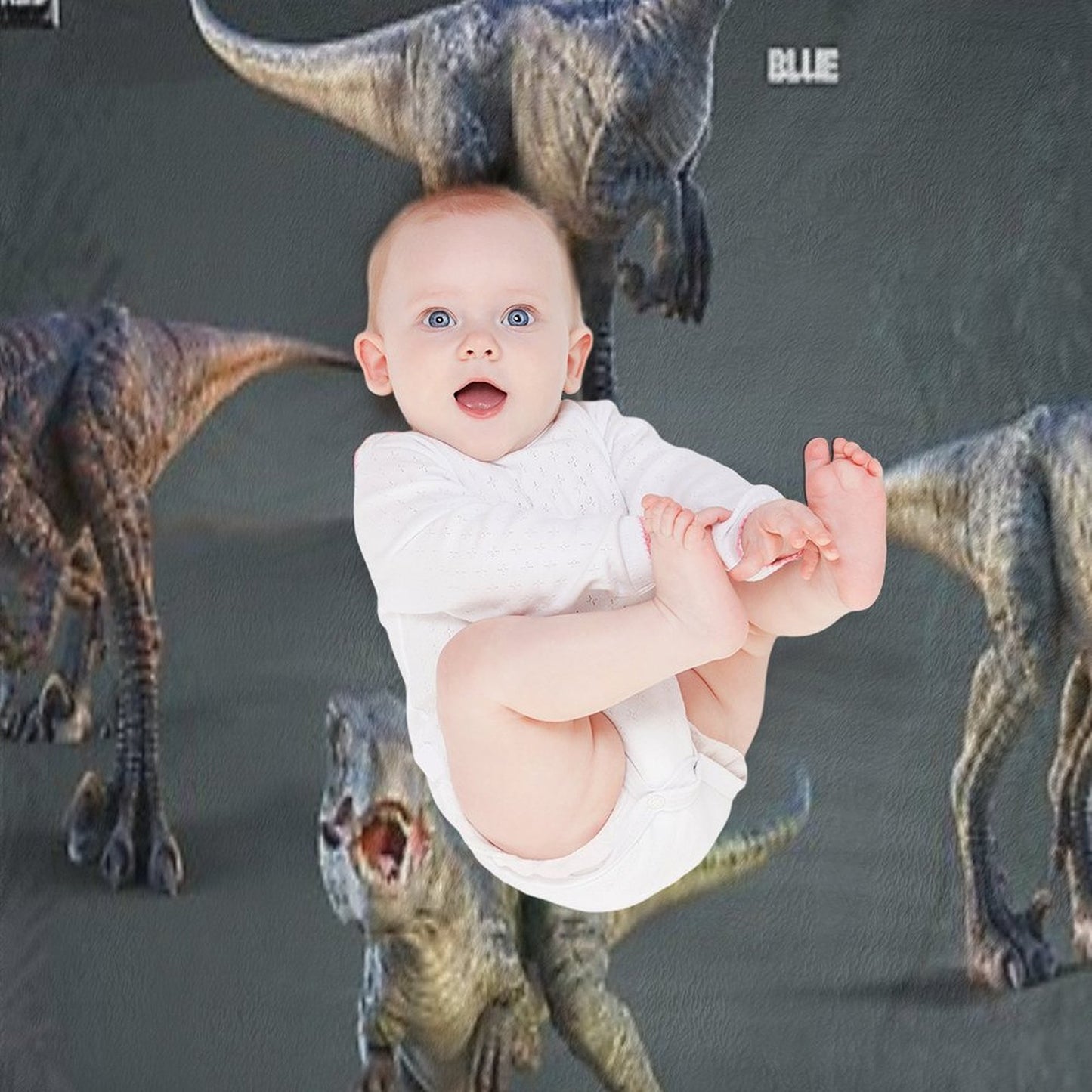 Raptor Squad Travel-friendly Throw Blanket
