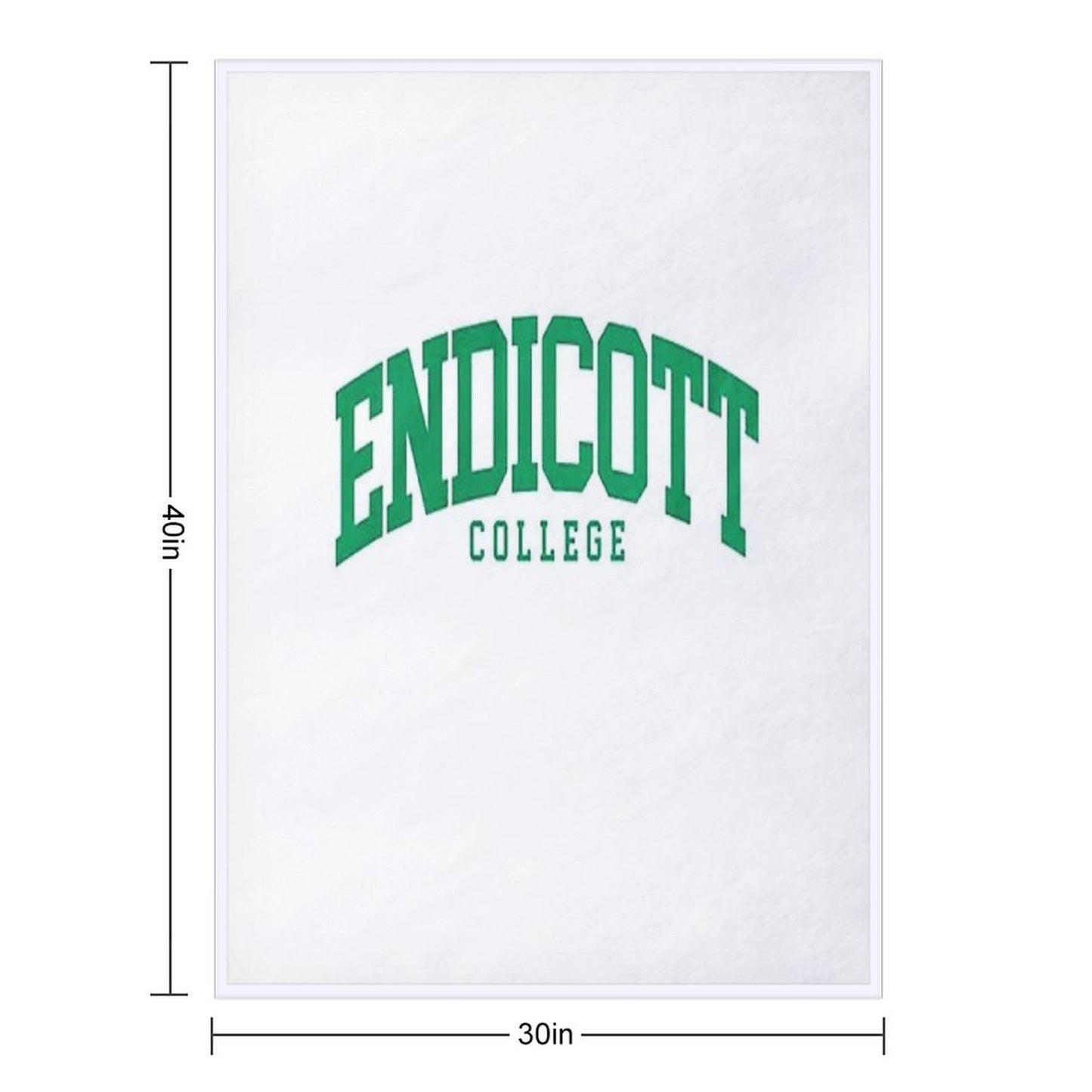 Endicott College Easy Care Throw Blanket