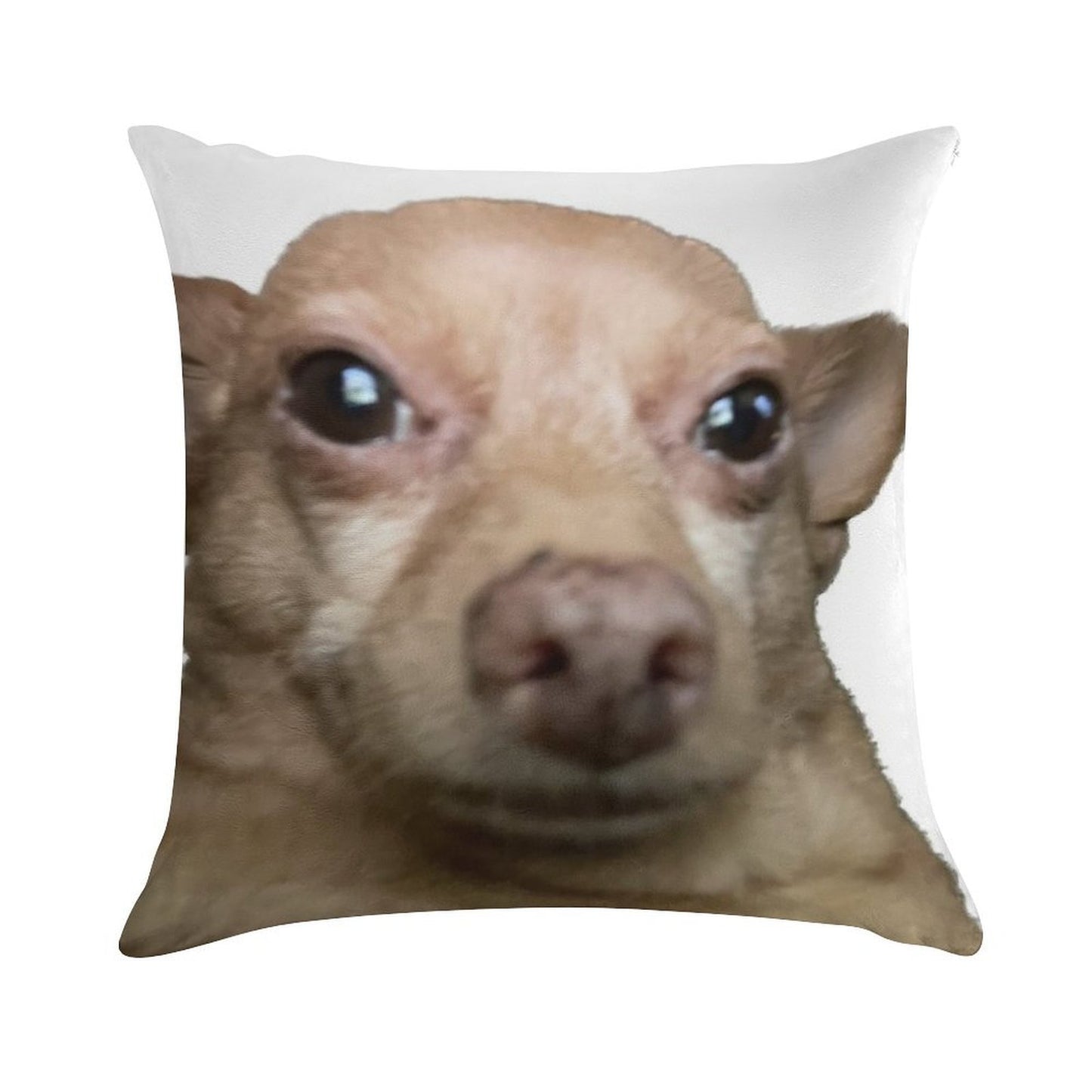 Wide Eye Mouse Soft Ultra-Soft Texture Throw Pillow