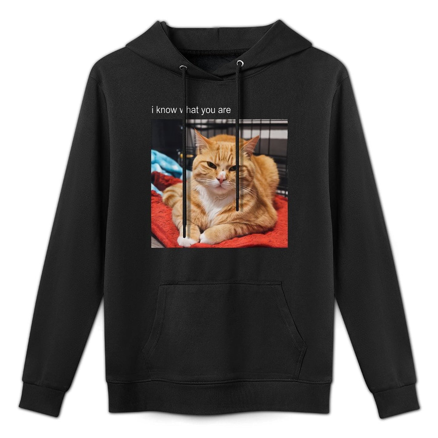 Cat Meme Tshirt Silly Cat Funny Kitty Meow Hiss Kitten for Men Women Girls Kids Versatile Streetwear Hoodie