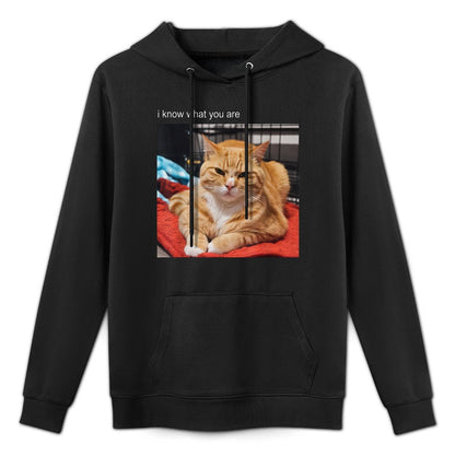 Cat Meme Tshirt Silly Cat Funny Kitty Meow Hiss Kitten for Men Women Girls Kids Versatile Streetwear Hoodie