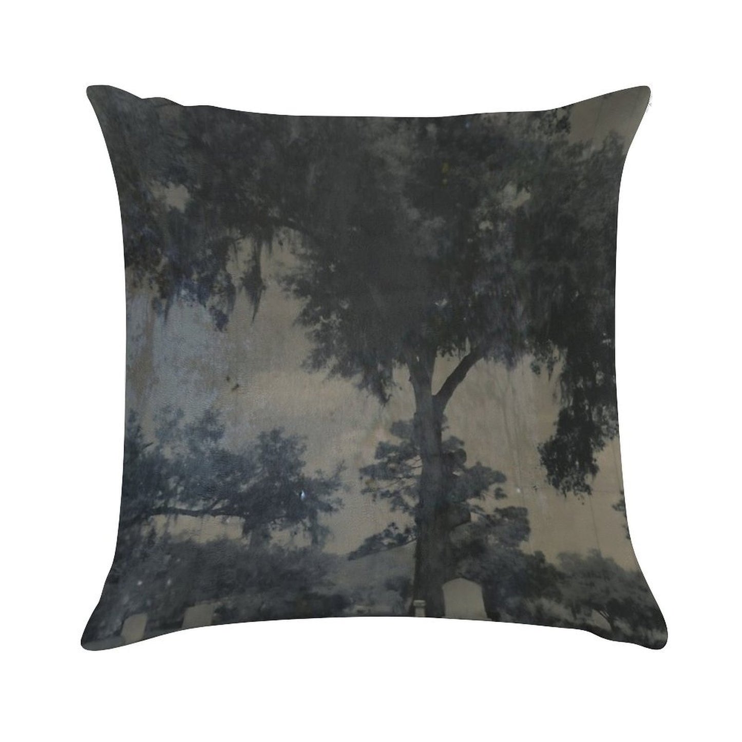 CASSADAGA TIN TYPE Soft Warmth Comfort Throw Pillow
