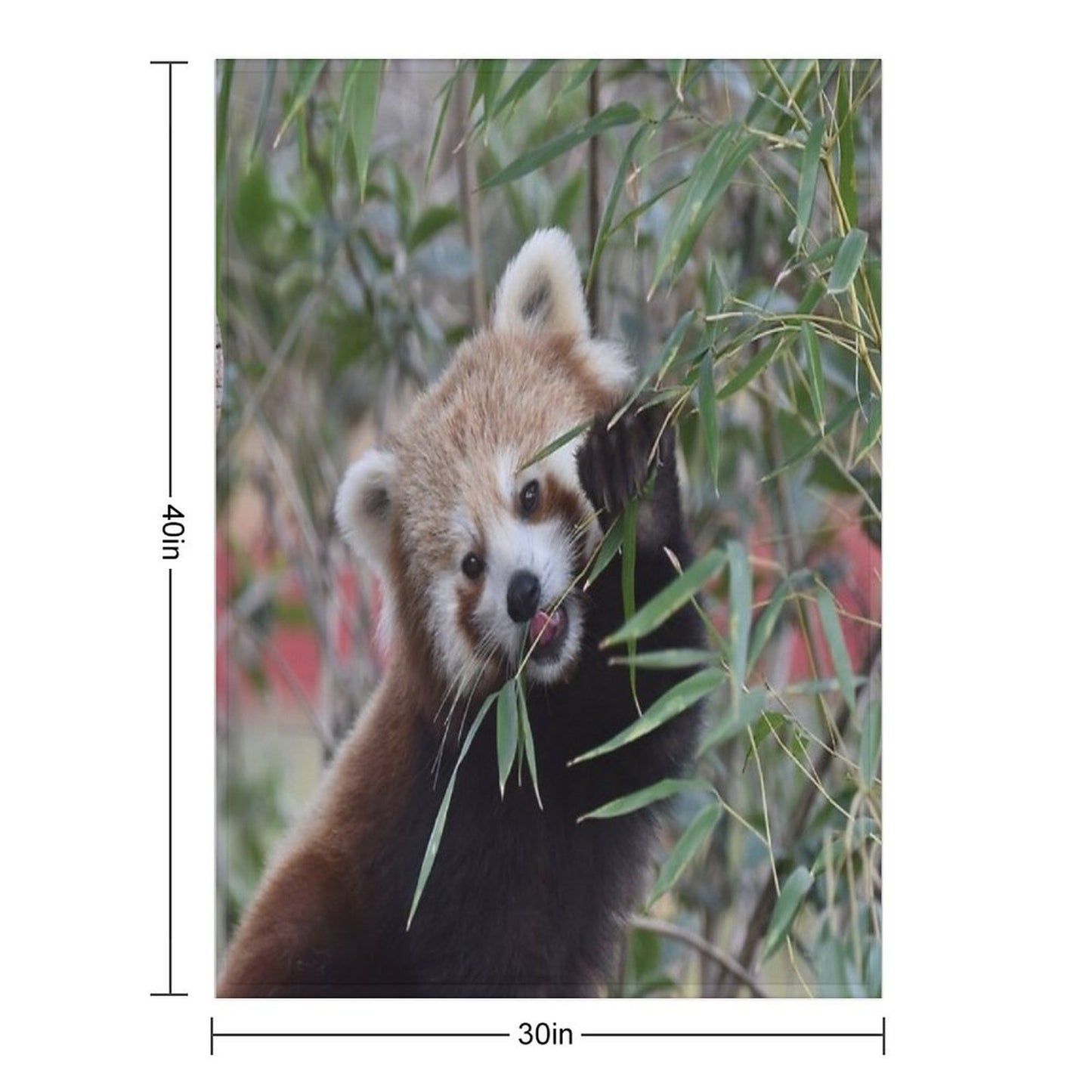 Red Panda 2 Machine-washable Throw Blanket