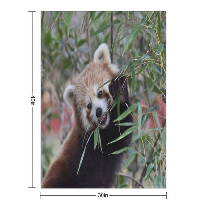 Red Panda 2 Machine-washable Throw Blanket