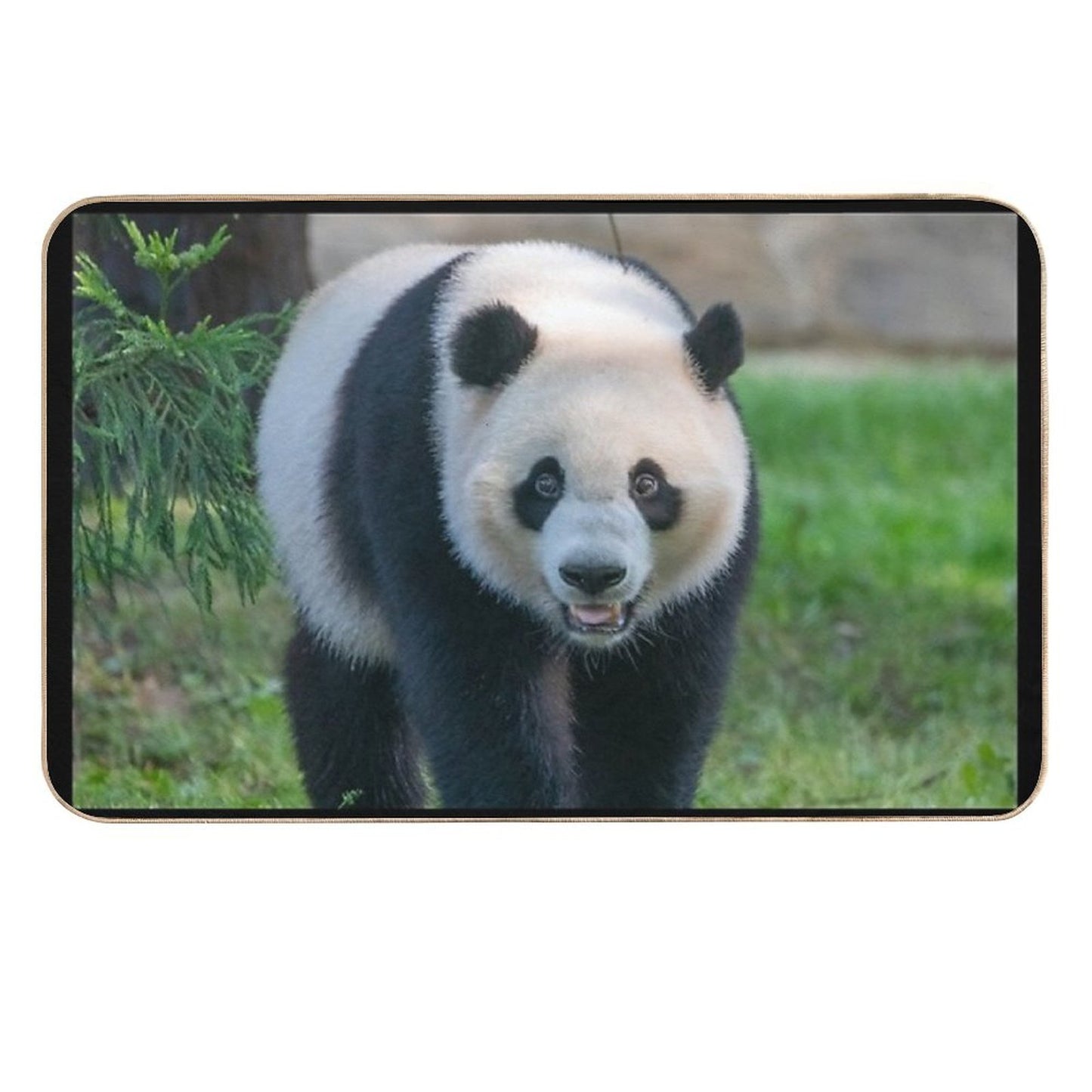 Giant Panda Xiao Qi Ji at The National Zoo  Slip-Resistant Bath Mat