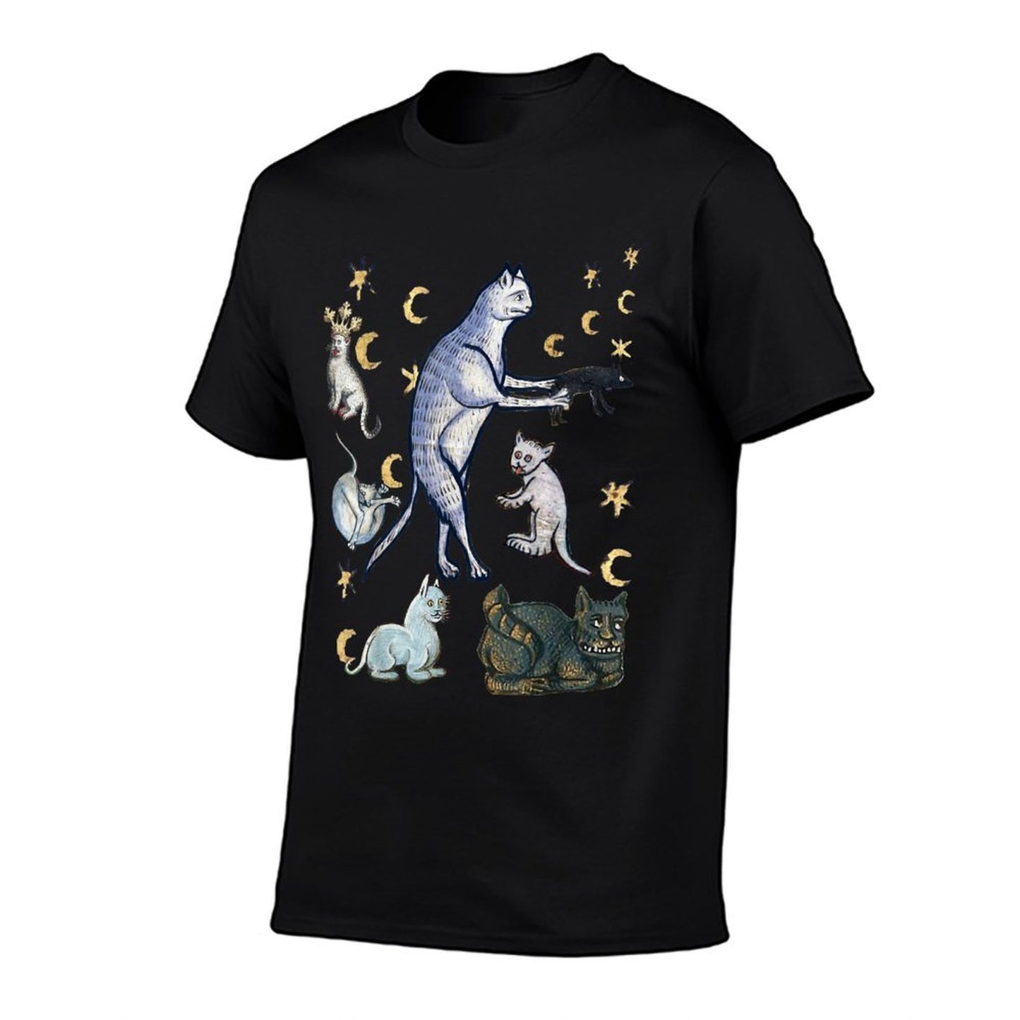 UGLY MEDIEVAL CATS Comfortable T-Shirt