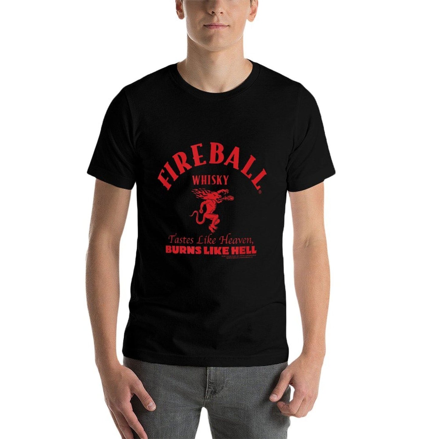 Fireball Cinnamon Whisky Tastes Like Heaven Burns Like Hell  Classic T-Shirt