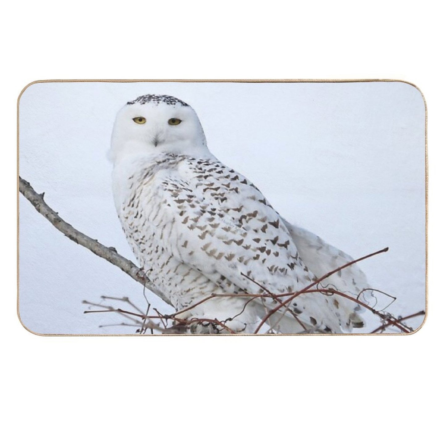 Snowy White Goddess  Dirt-Trapping Bath Mat