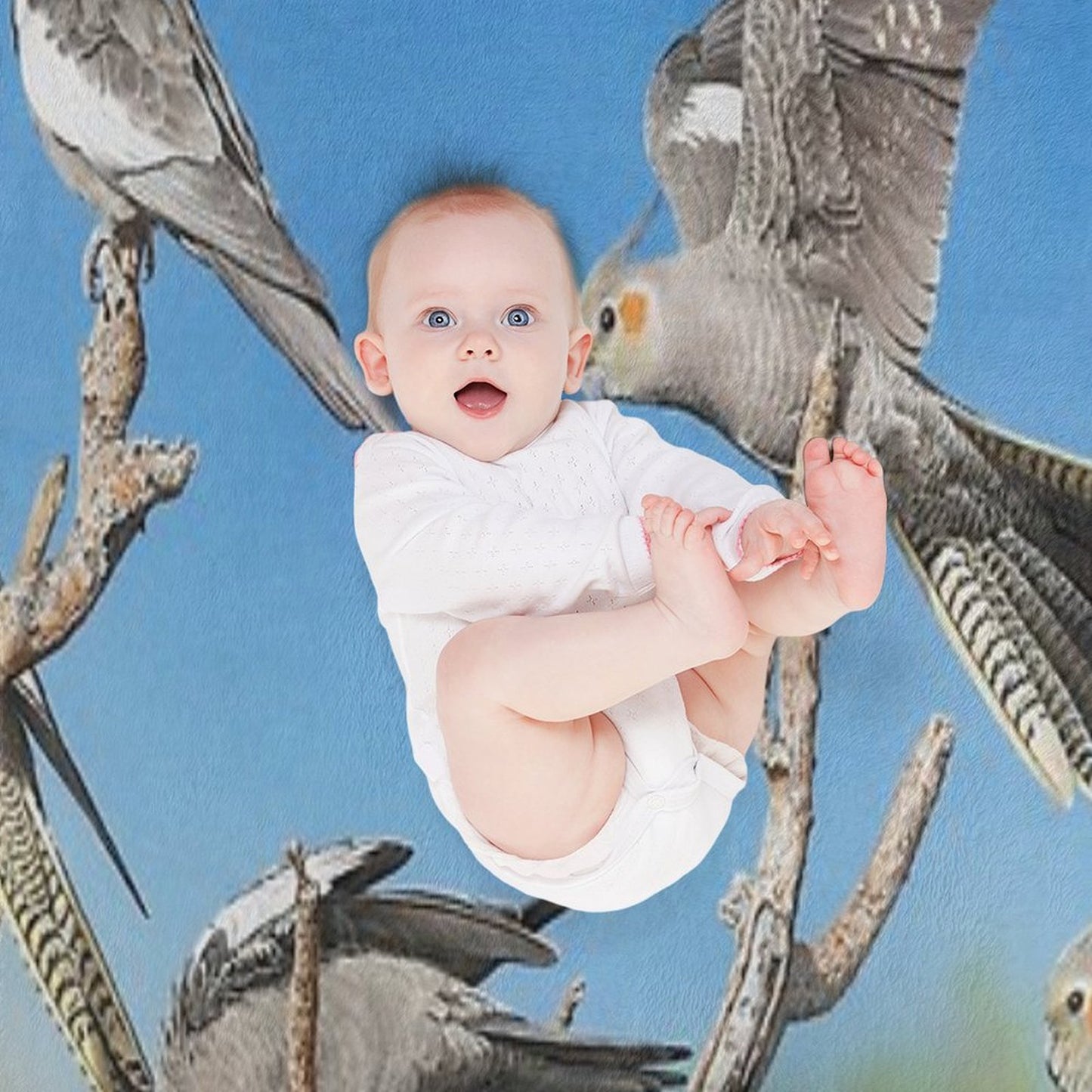 Rise And Shine (Cockatiels) Shrink-resistant Throw Blanket
