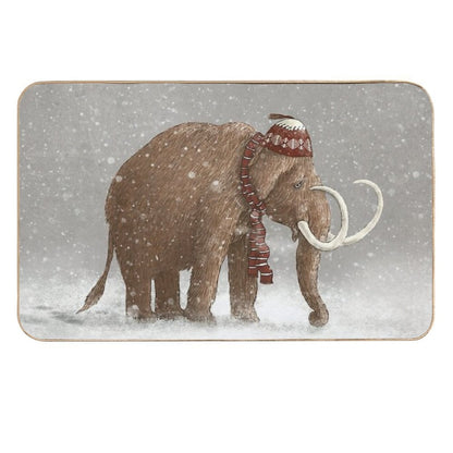The Ice Age Sucked  Easy Maintenance Bath Mat