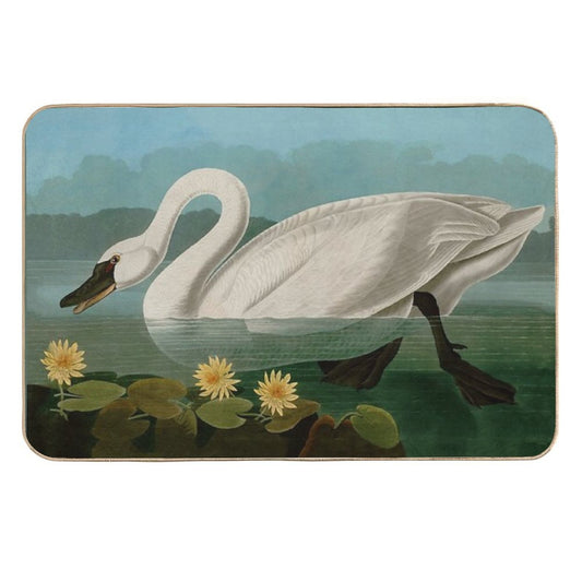 Common American Swan Birds of America Audubon Illustration Bird Lovers Gift  Odorless Bath Mat