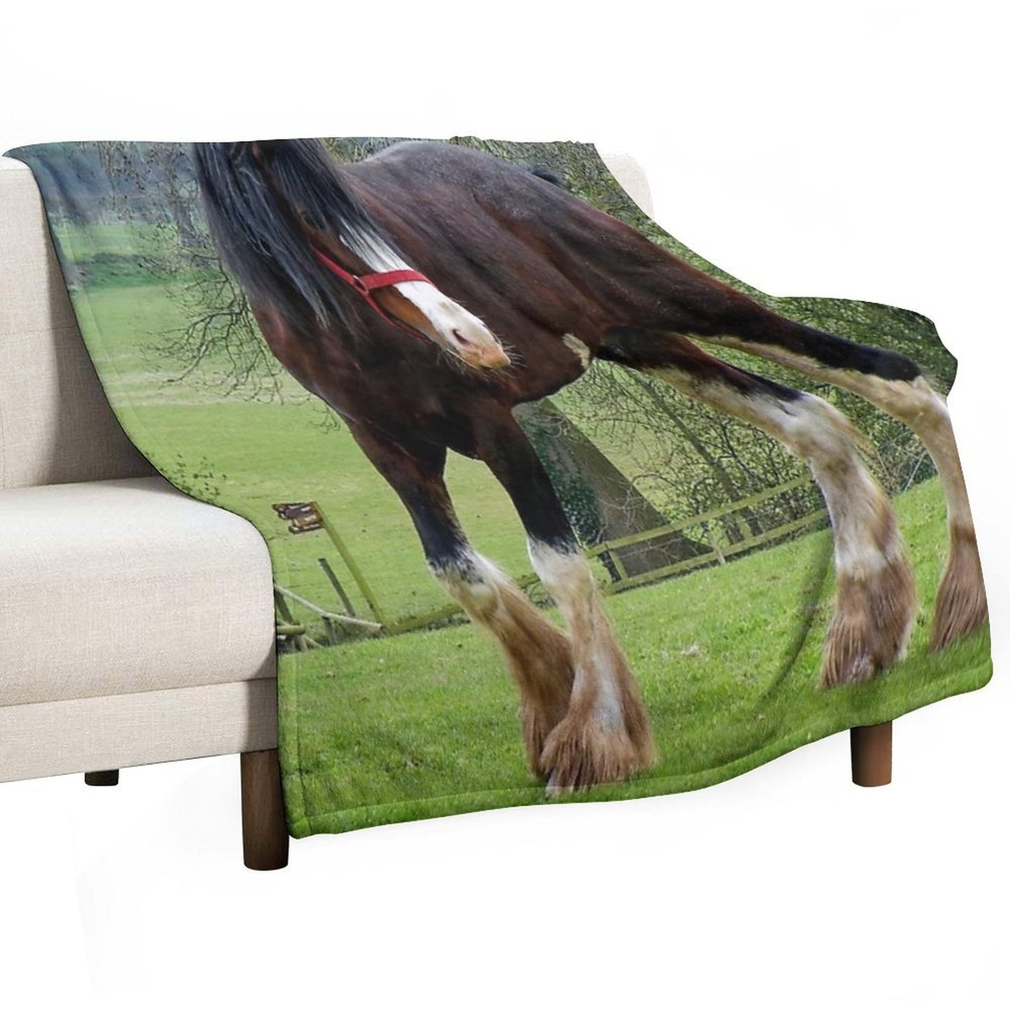 Shire Horse Premium Throw Blanket
