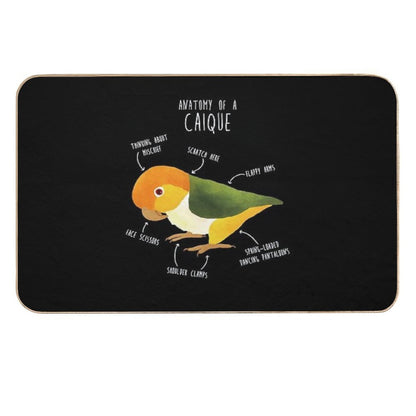 Anatomy of A White-Bellied Caique  Repositionable Bath Mat