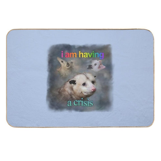 I Am Having A Crisis Possum Word Art  Repositionable Bath Mat