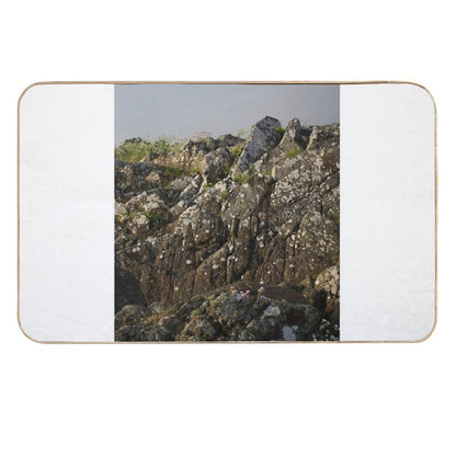 Growing on Stone  Dirt-Trapping Bath Mat