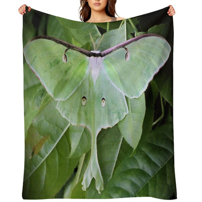 Luna Moth Sustainable Throw Blanket