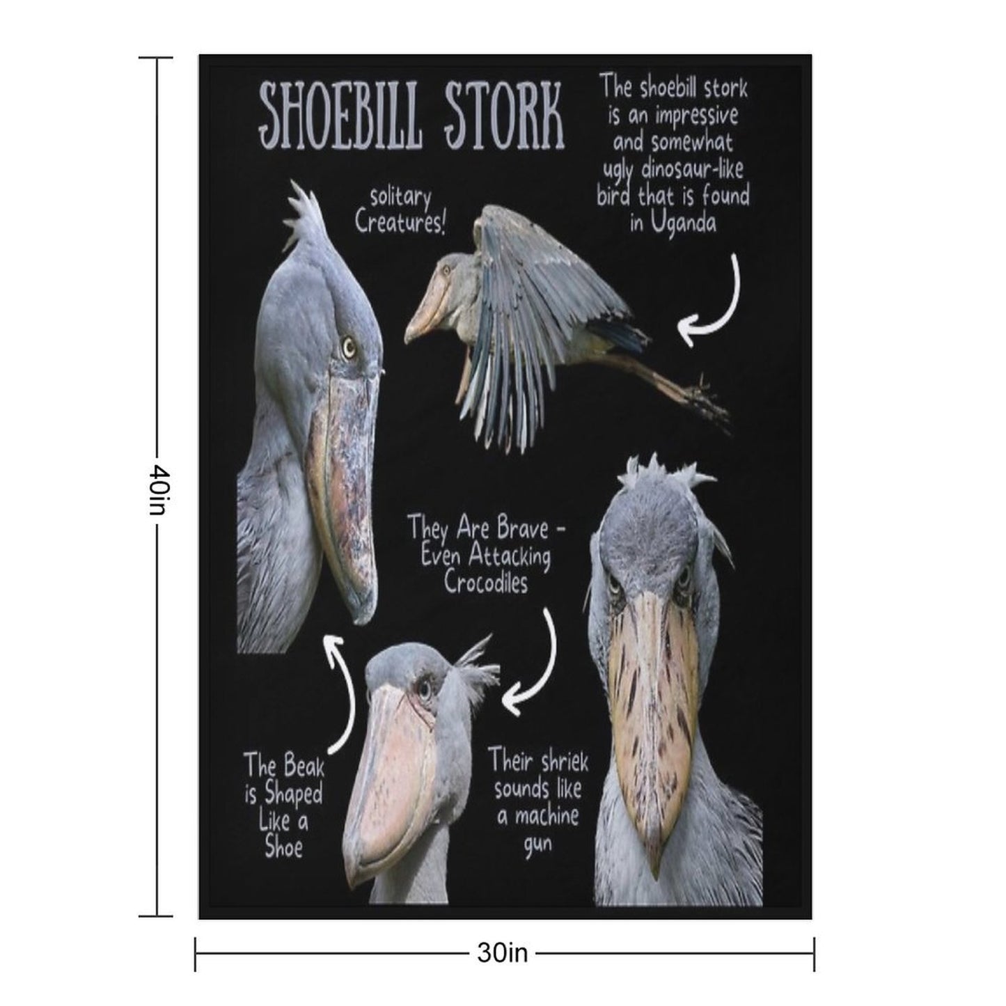 Shoebill Stork Fun Fact Versatility Throw Blanket