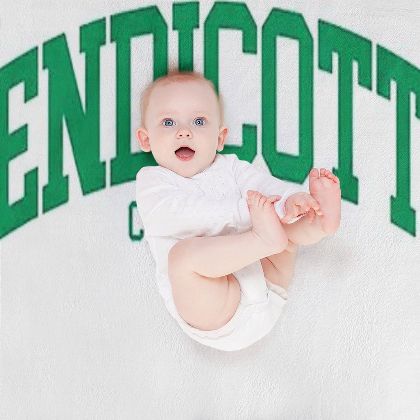 Endicott College Easy Care Throw Blanket